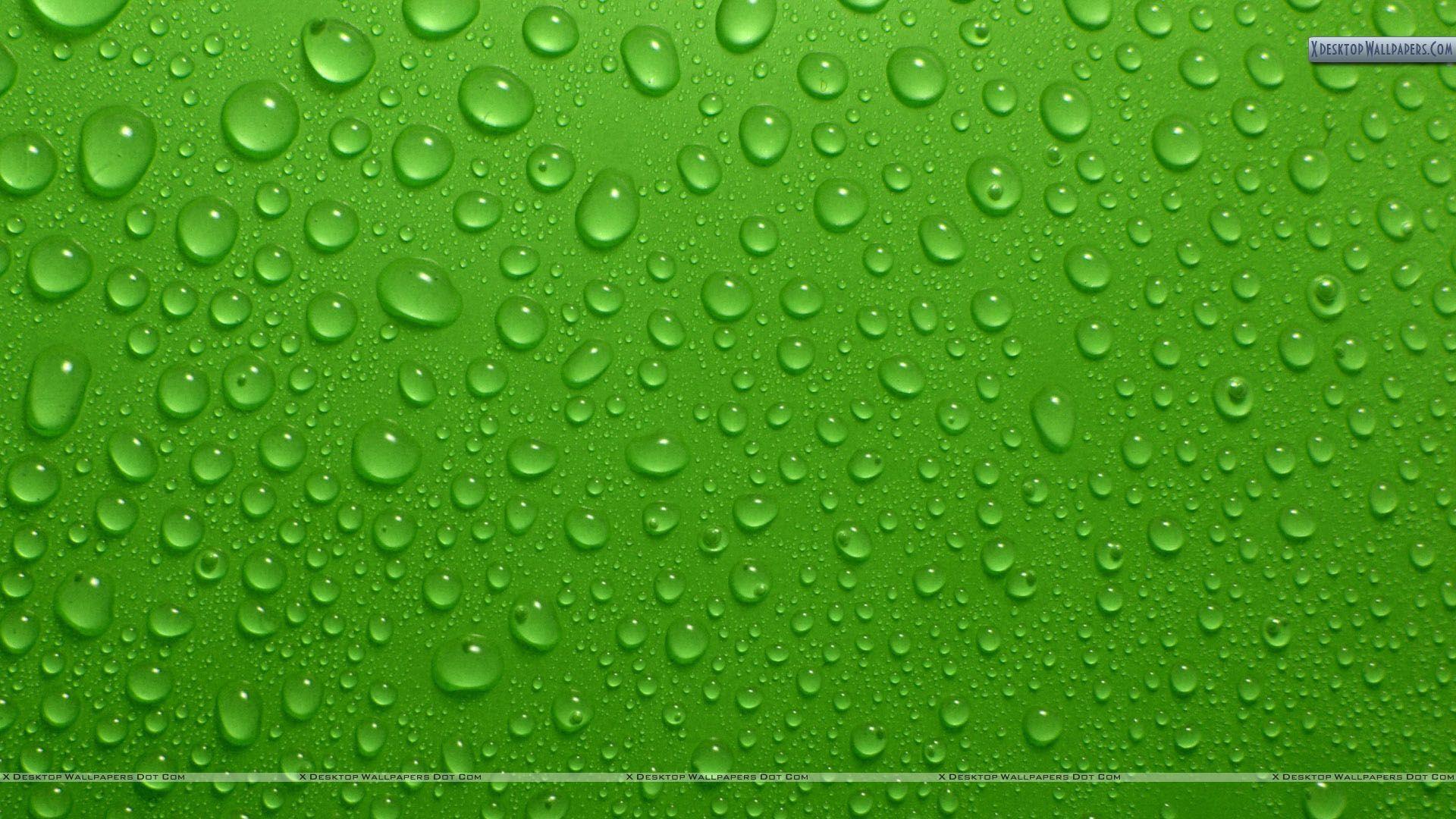 Green Background 19 Desktop Background. WallFortuner