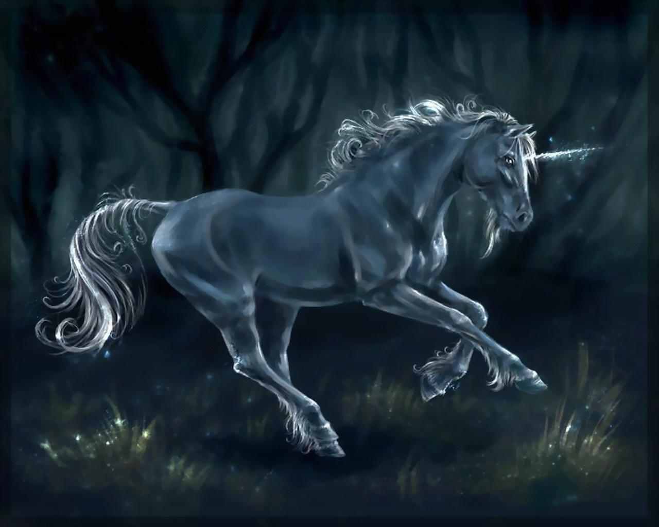 Unicorn Background, Gleaming Unicorn Wallpaper Background