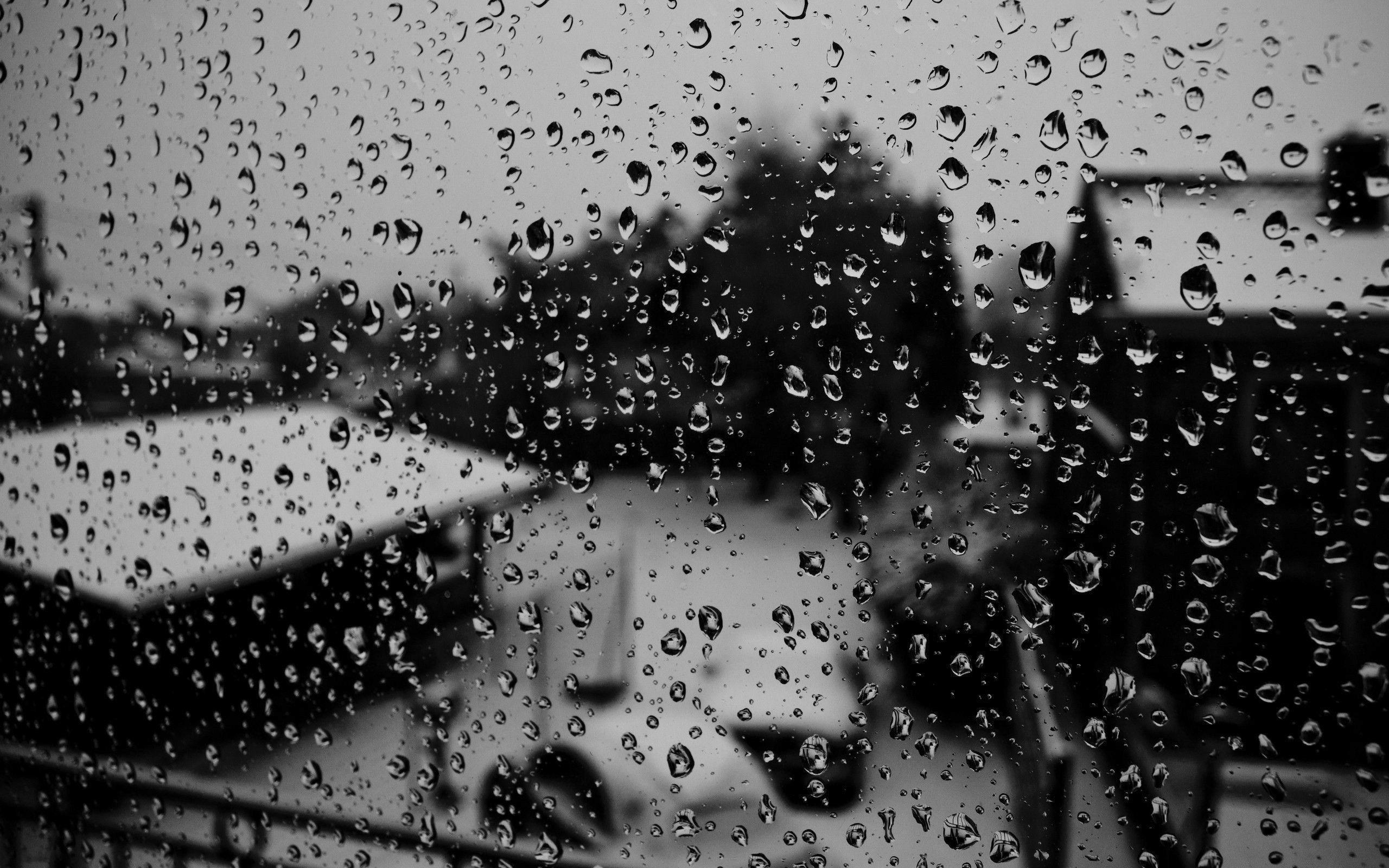 Raindrops On The Window