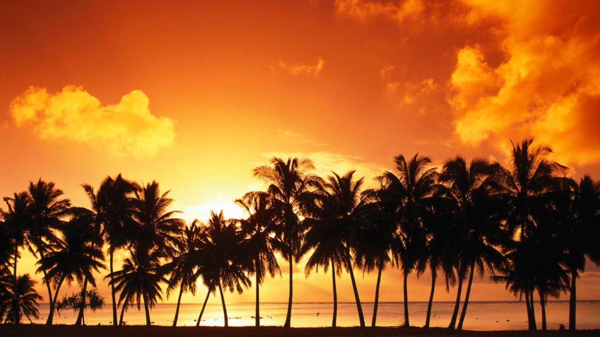 Tropical Island Sunset Desktop Background HD Wallpaper