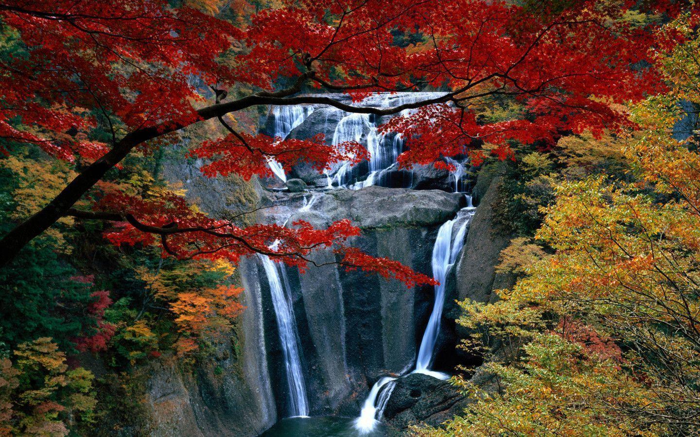 Red Maple And Waterfall, Autumn HD wallpaper « Wallpaper HD