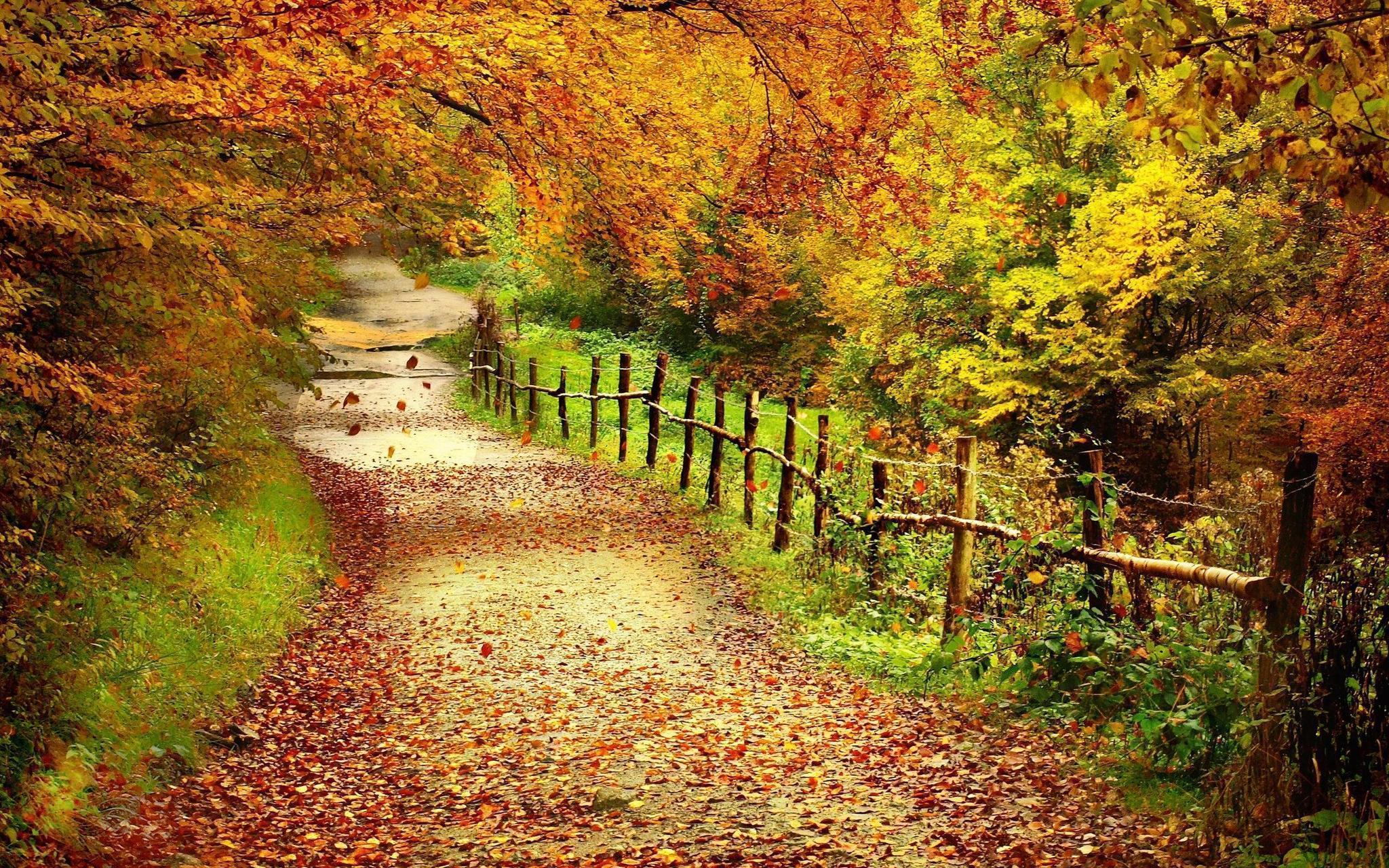 Autumn Scenes Wallpaper