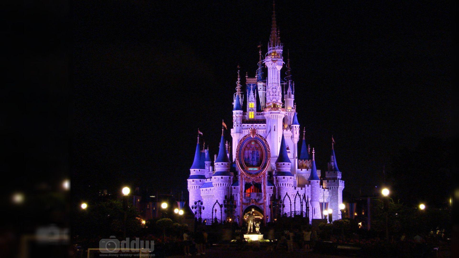 Disney World Firework Image HD Wallpaper