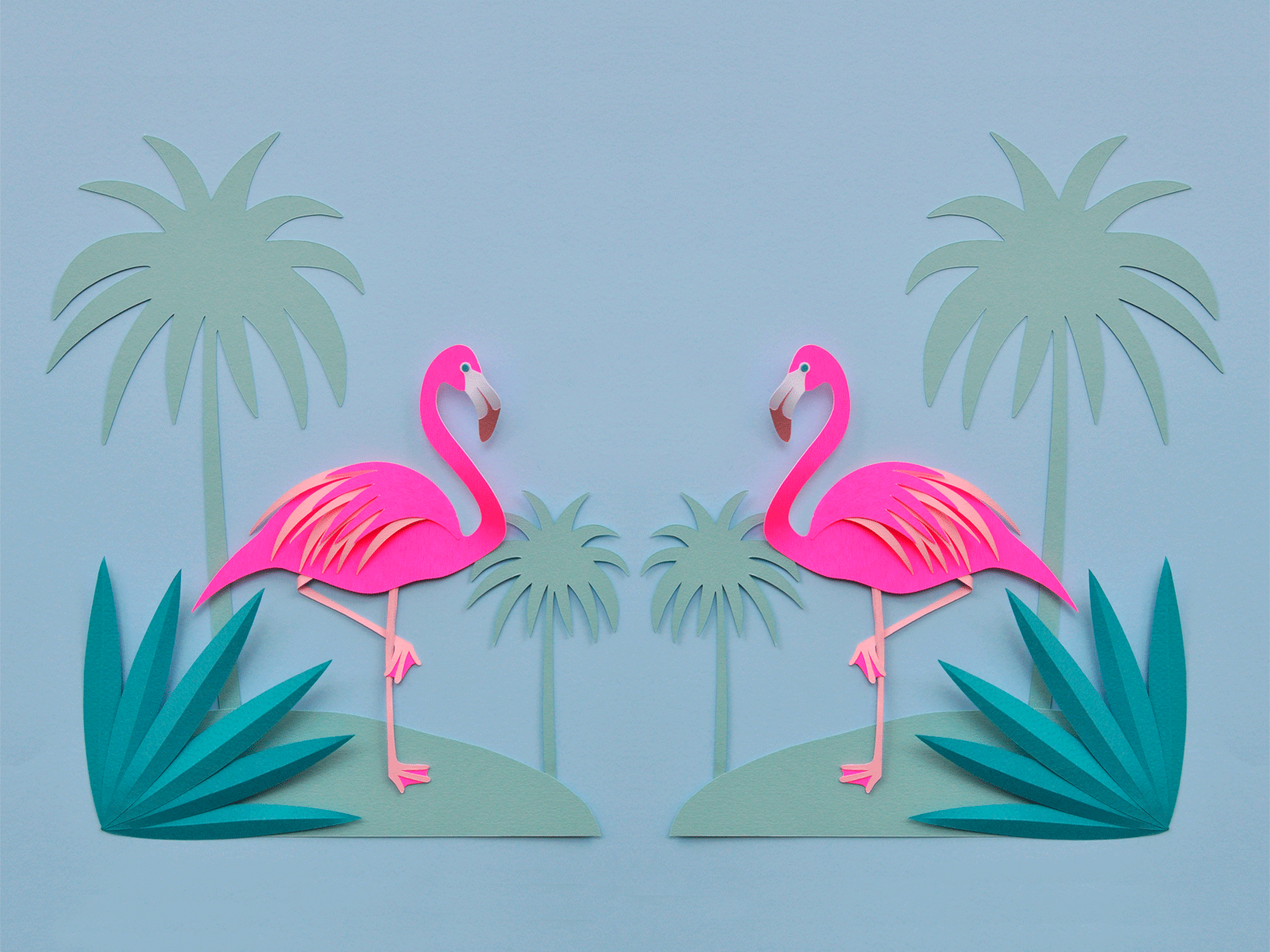 blue flamingo wallpaper Animal
