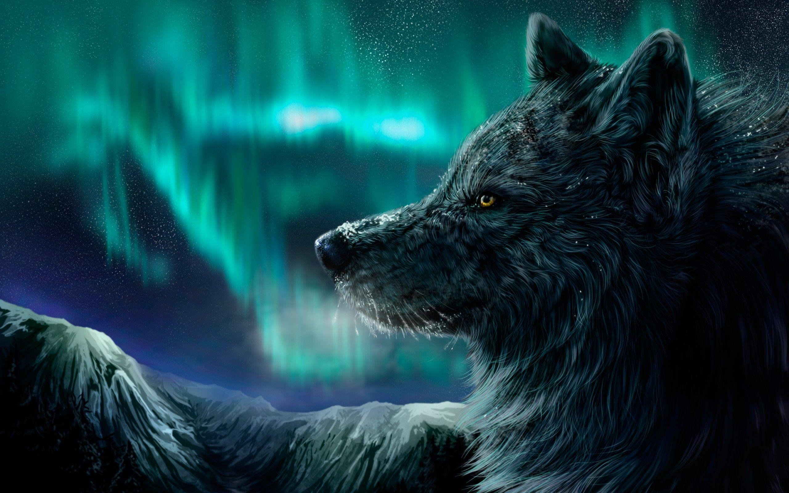 Northern Lights Wolf, wallpaper, Northern Lights Wolf HD wallpaper