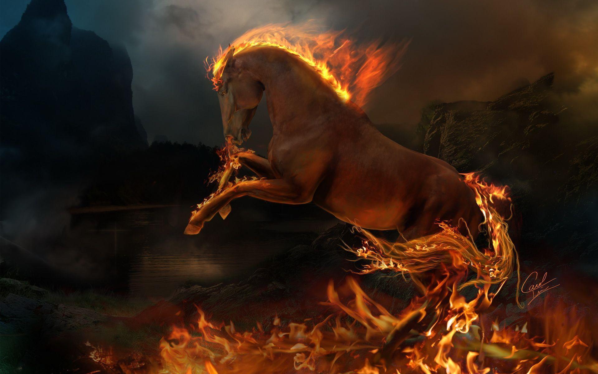 Fire Horse Wallpaper For Computer Horse Animal HD Free Wallpaper