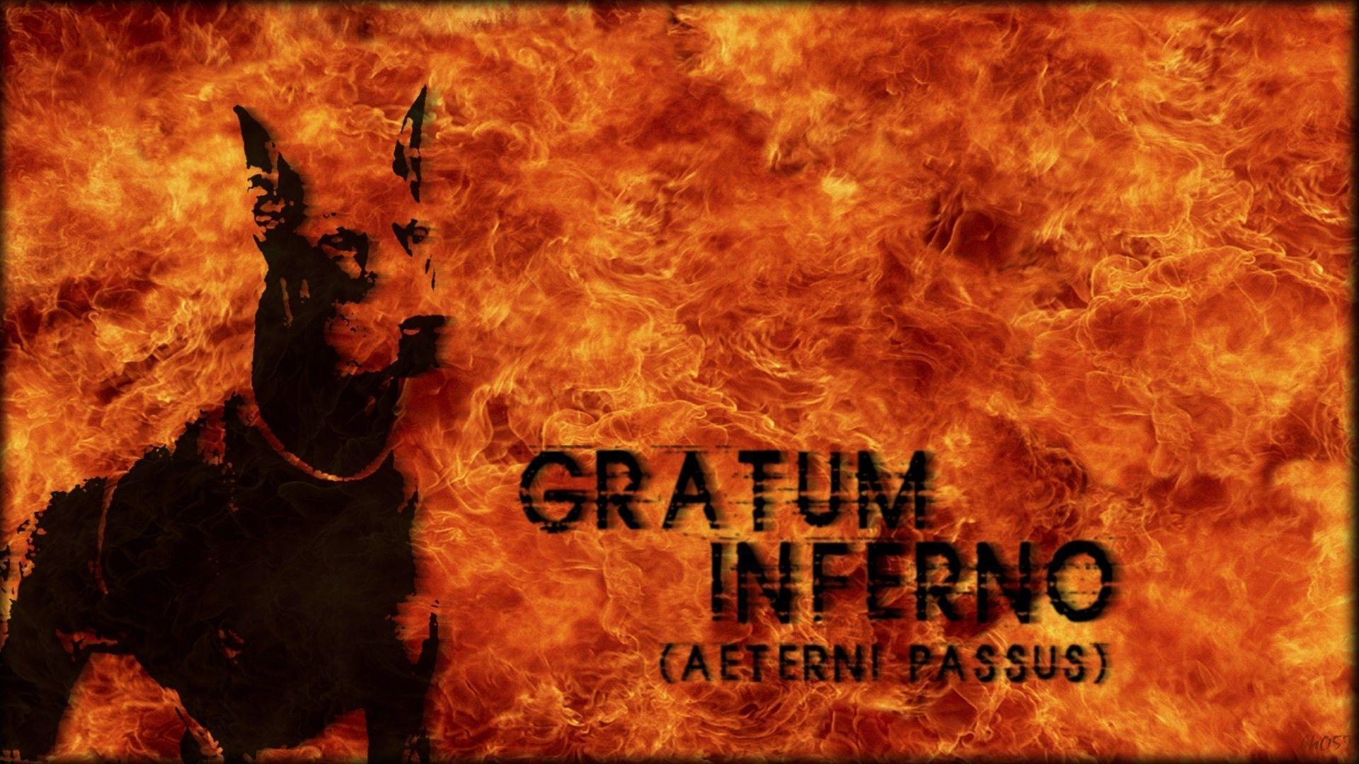 The Image of Fire Hell Doberman Fresh HD Wallpaper