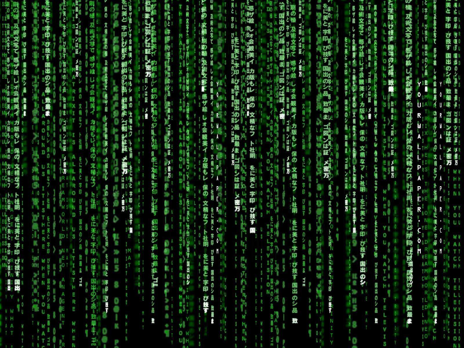 The Matrix Wallpaper. The Matrix Background