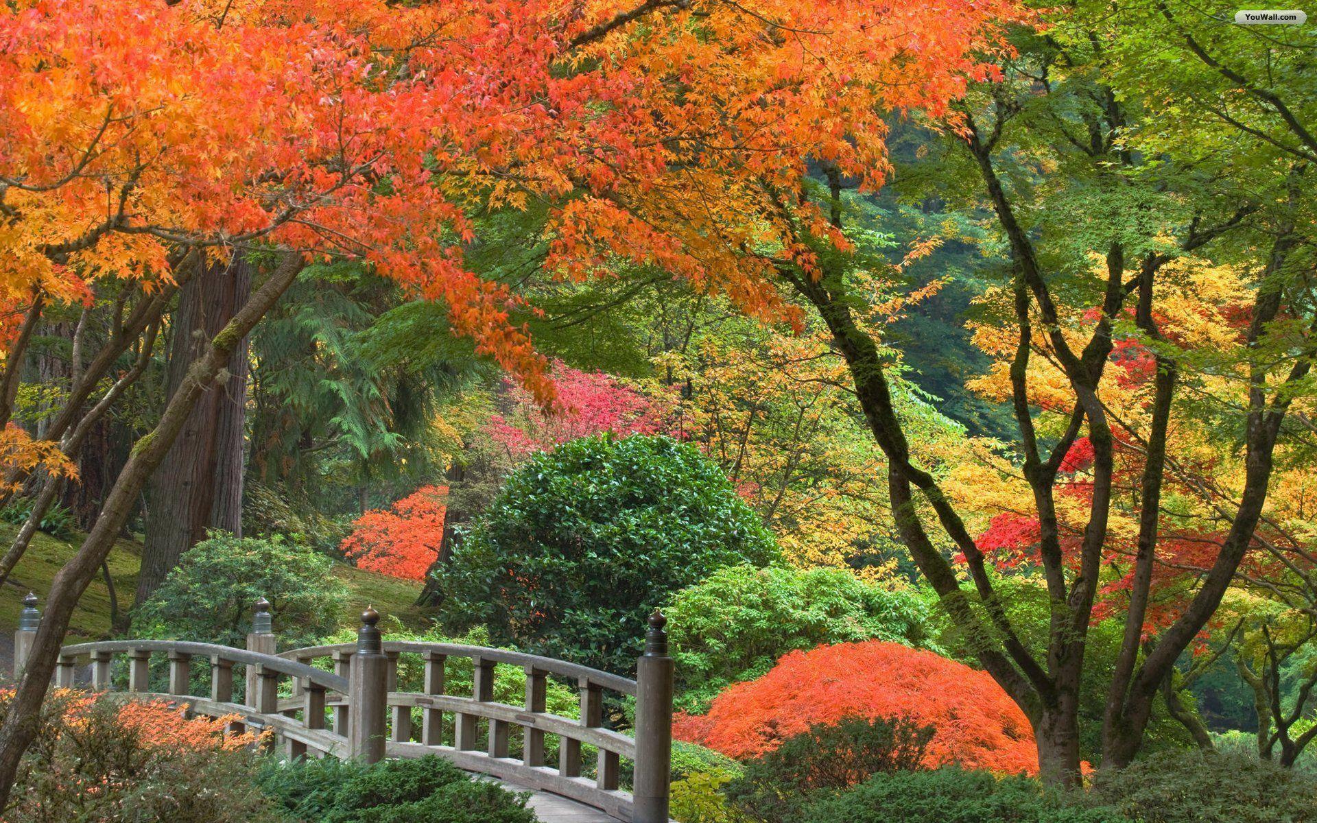 Japanese Garden Trees Desktop Wallpaper