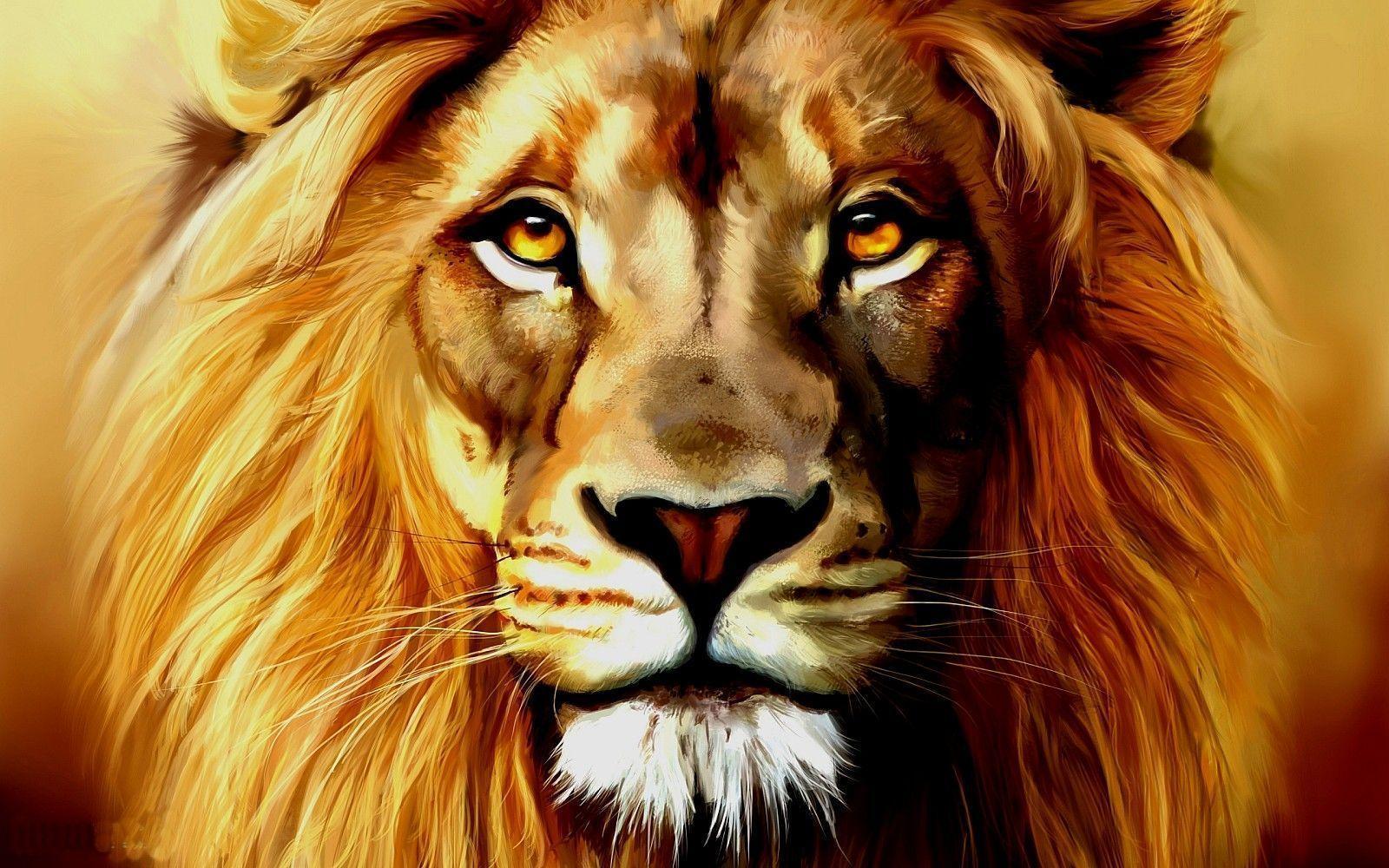 Wallpaper For > Angry Lion Face Wallpaper