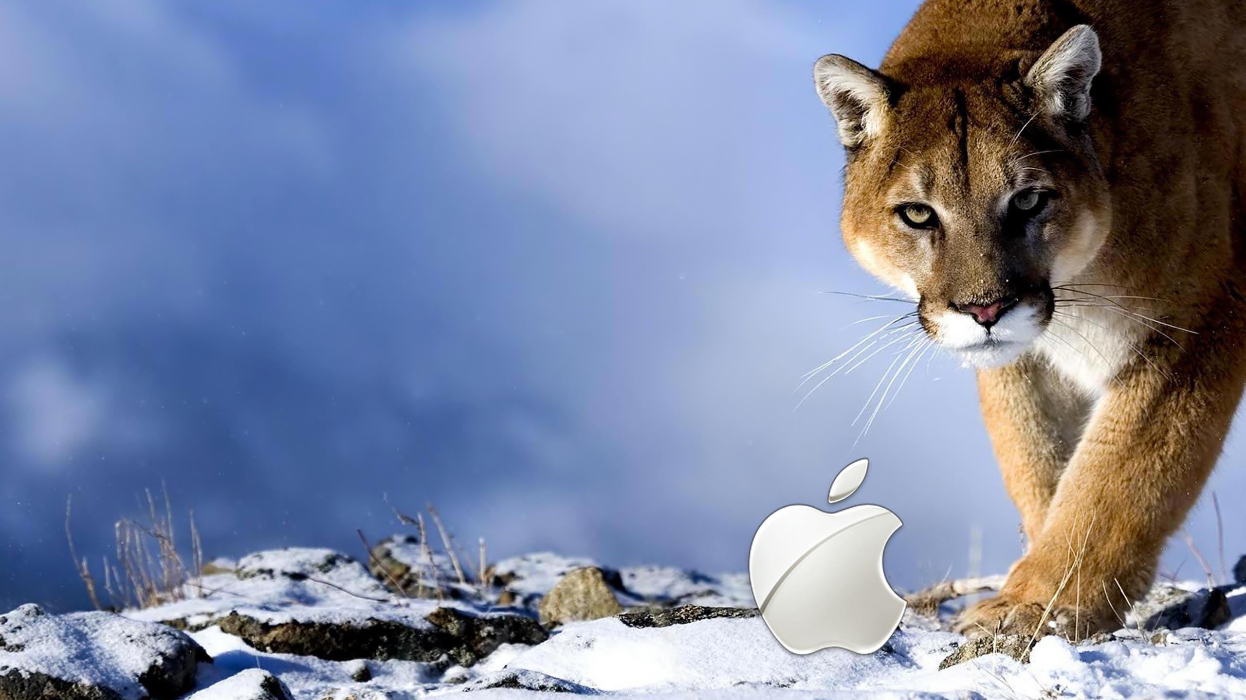 Snow Leopard Mac OS. Desktop Wallpaper taken from Stunning Mac