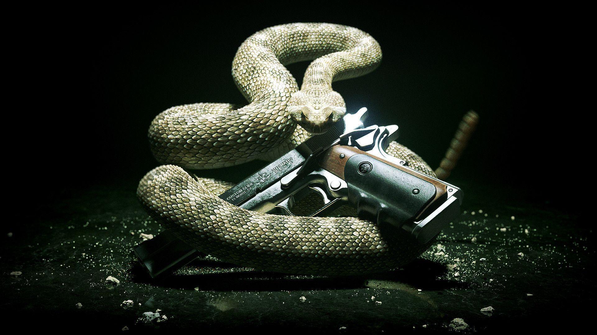 Pix For > Cool Snake Wallpaper HD