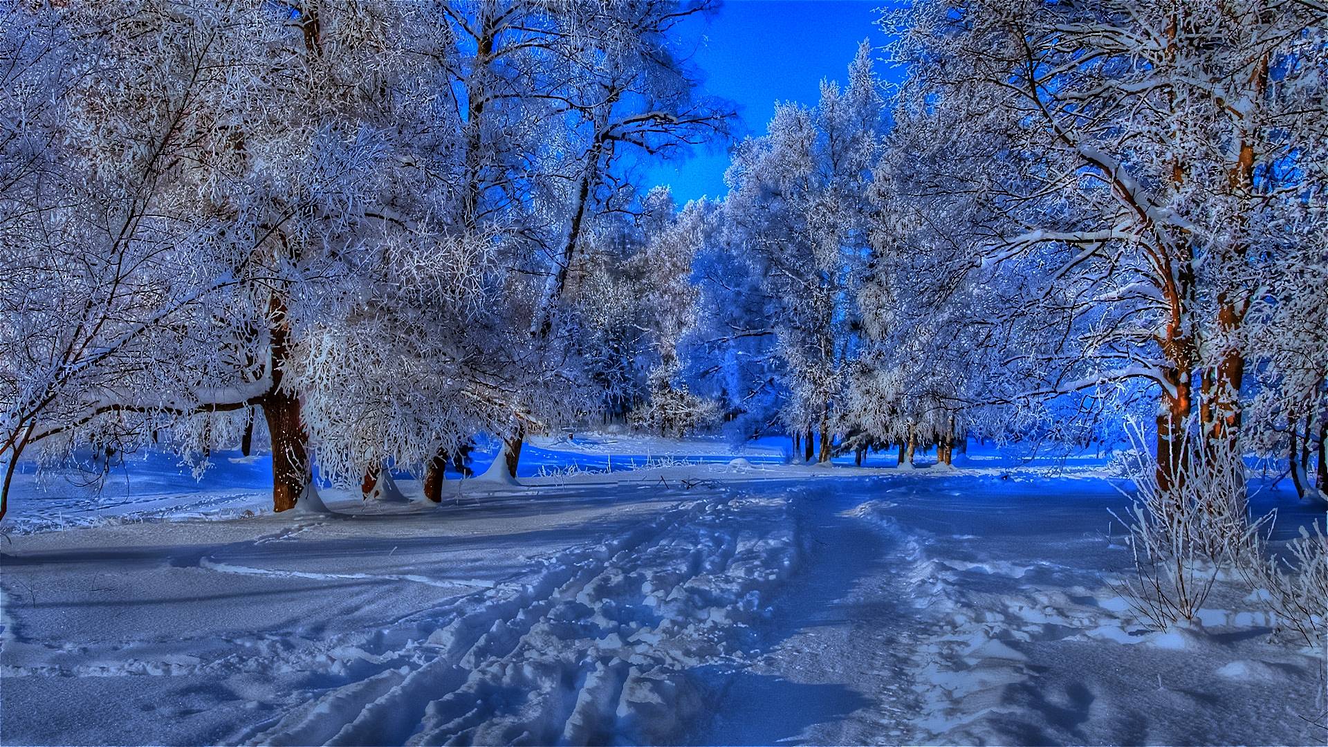 HD Beautiful Winter Wallpaper