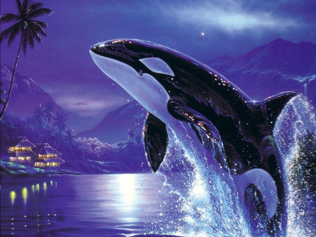 Jumping Orca Wallpaper High Res Pics 3435 Wallpaper. Cool