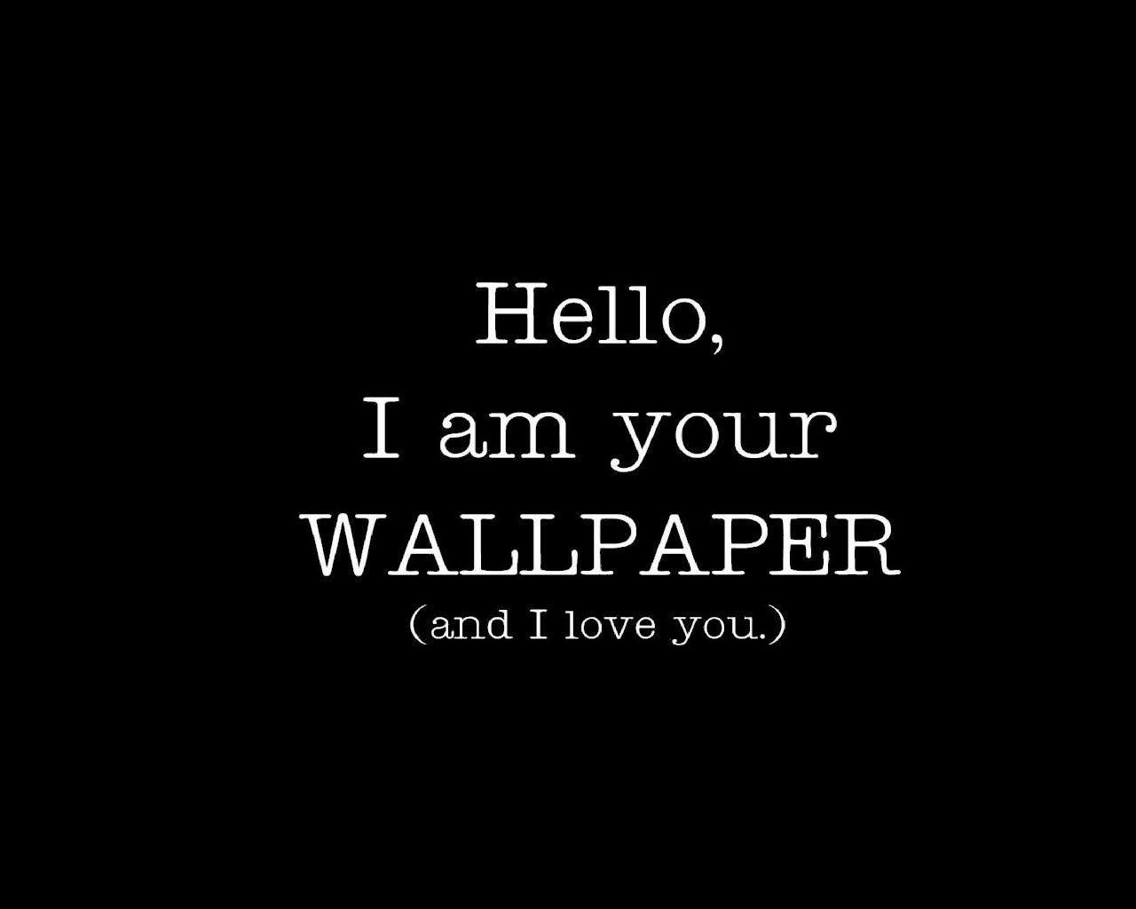 Funny: Awesome Funny Wallpaper Wallpaper