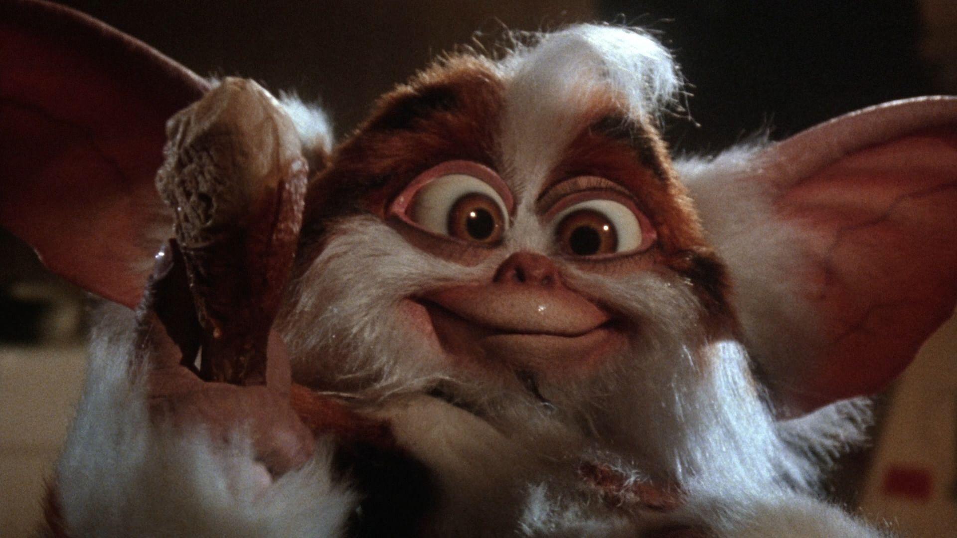 image For > Gremlins Gizmo Rambo