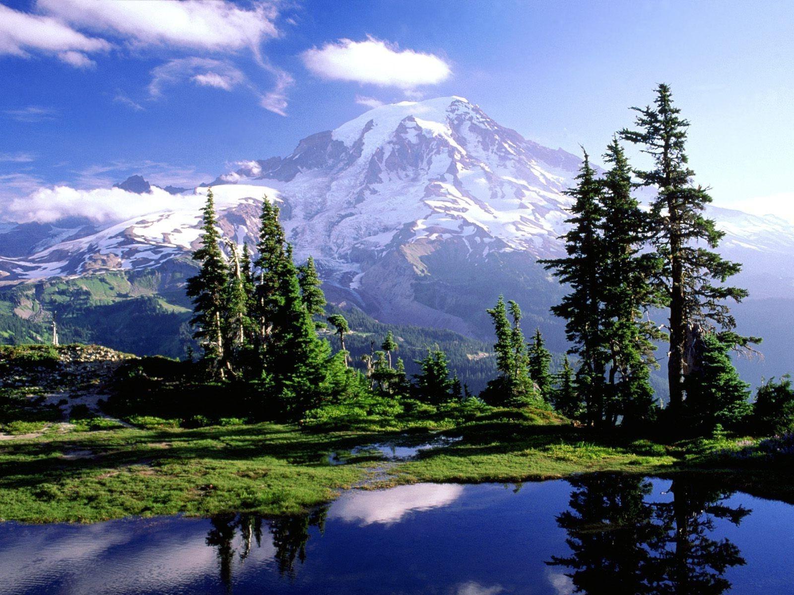 Mount Rainier National Park Mountains Landscape Wallpaper