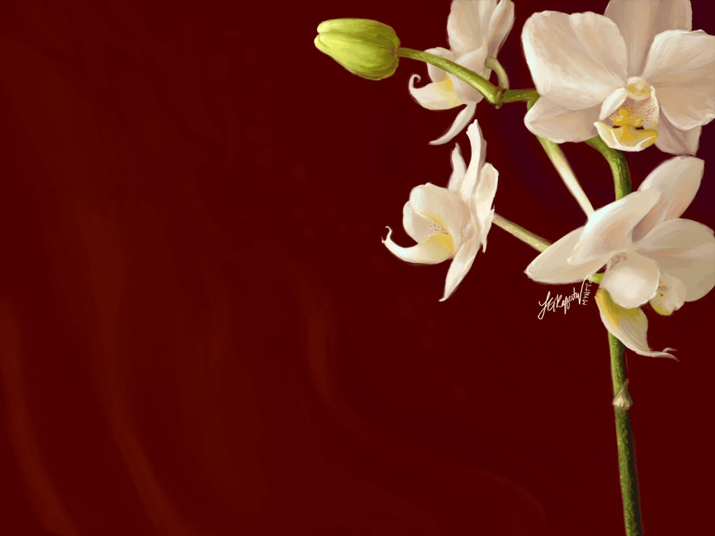 Daily Doodle Orchid Wallpaper