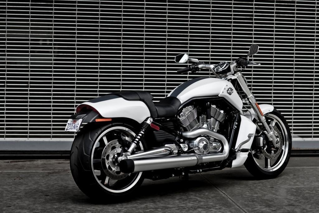 Gallery For > Harley Davidson V Rod Muscle Wallpaper