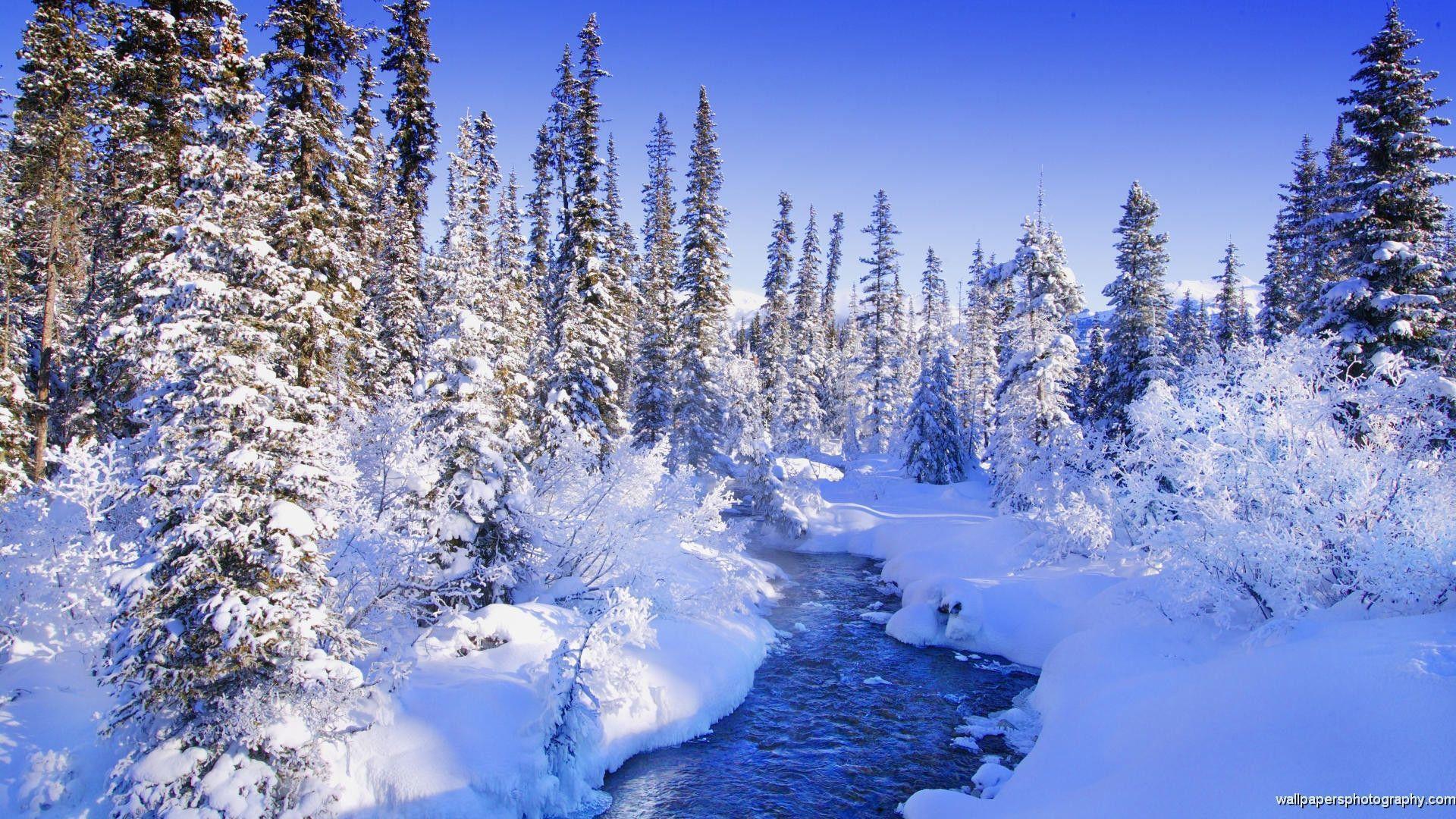 Winter Scenes 4 Background. Wallruru
