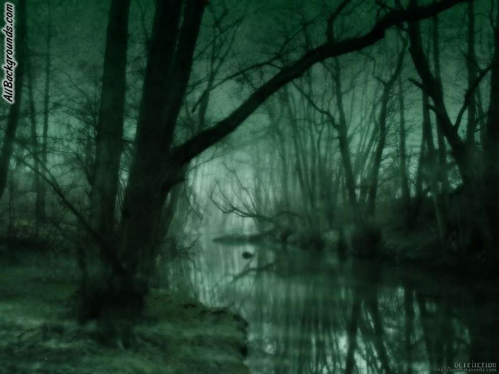 Swamp Background & Myspace Background