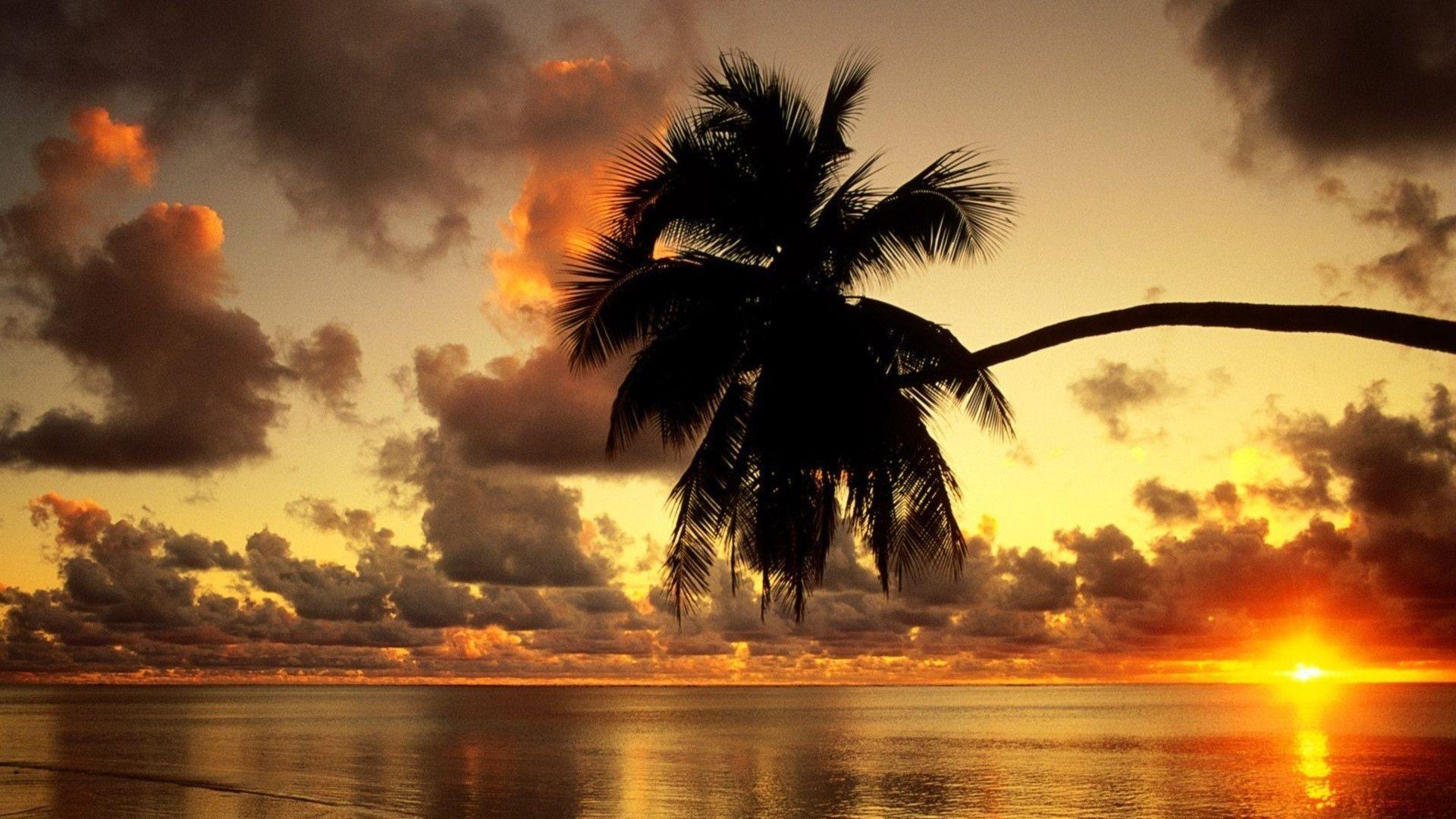 image For > Tropical Sunset Wallpaper HD