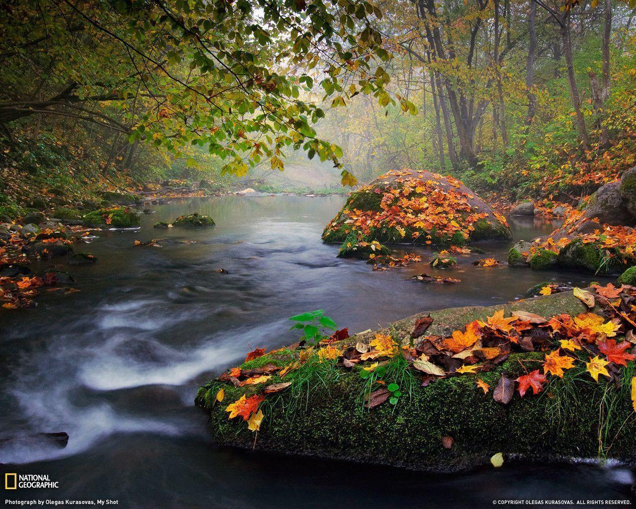 Autumn Landscape Photo, Nature Wallpaper
