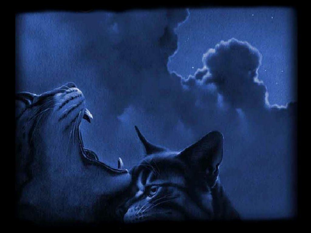 image For > Warrior Cats Wallpaper Clans
