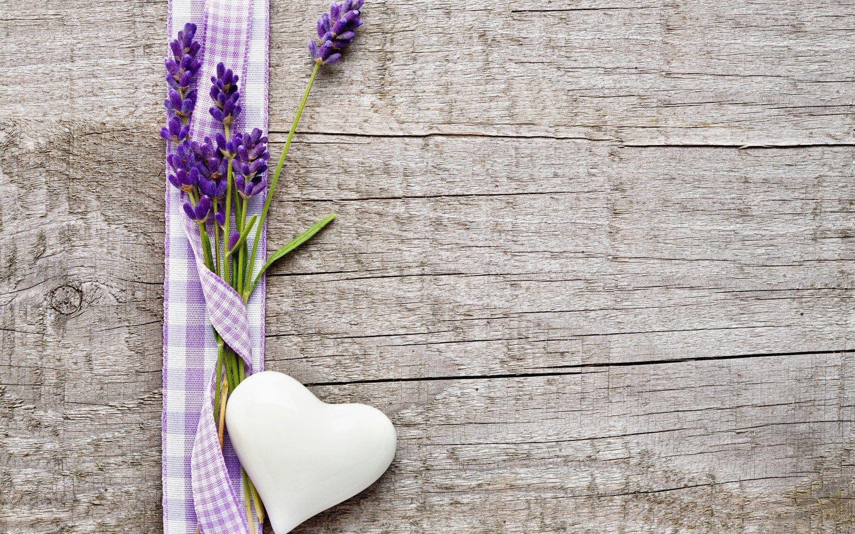 Lavender Flowers Heart Mood HD Wallpaper