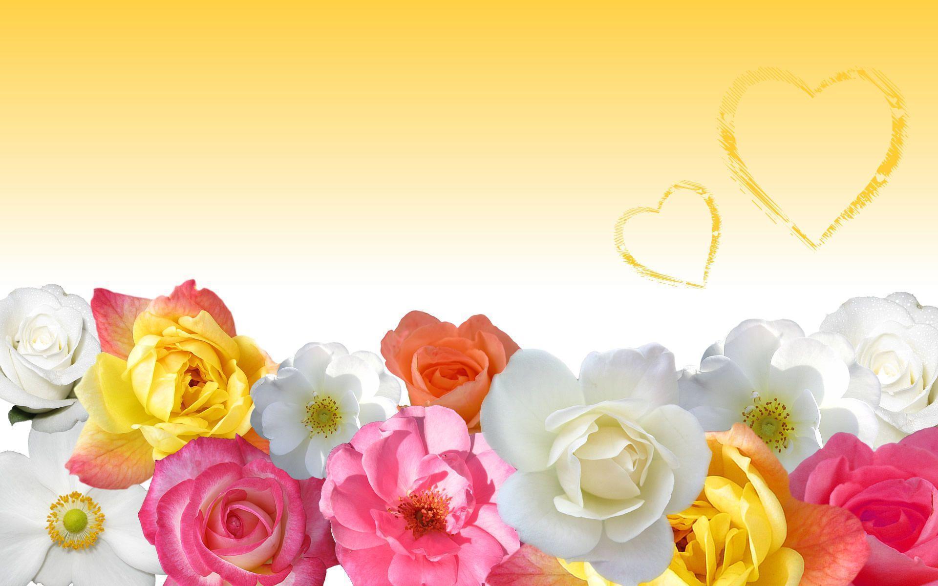Yellow Sun Flower HD Wallpaper · Flower Wallpaper. Best Desktop