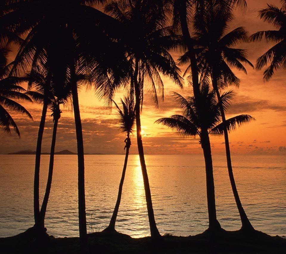 Tropical Island Sunset