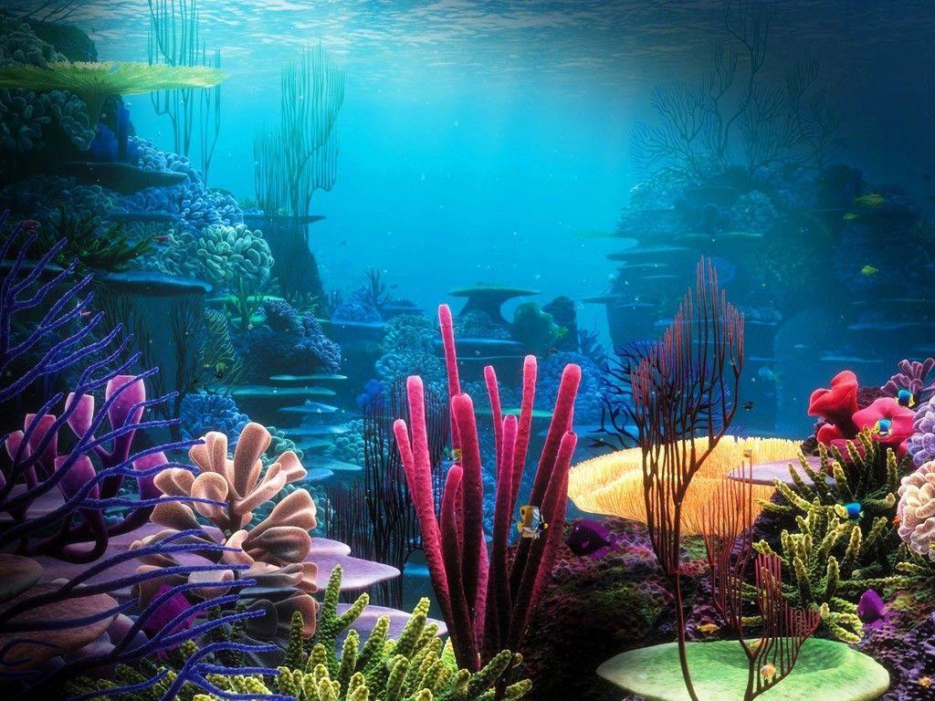 Gallery For > Deep Sea Coral Wallpaper