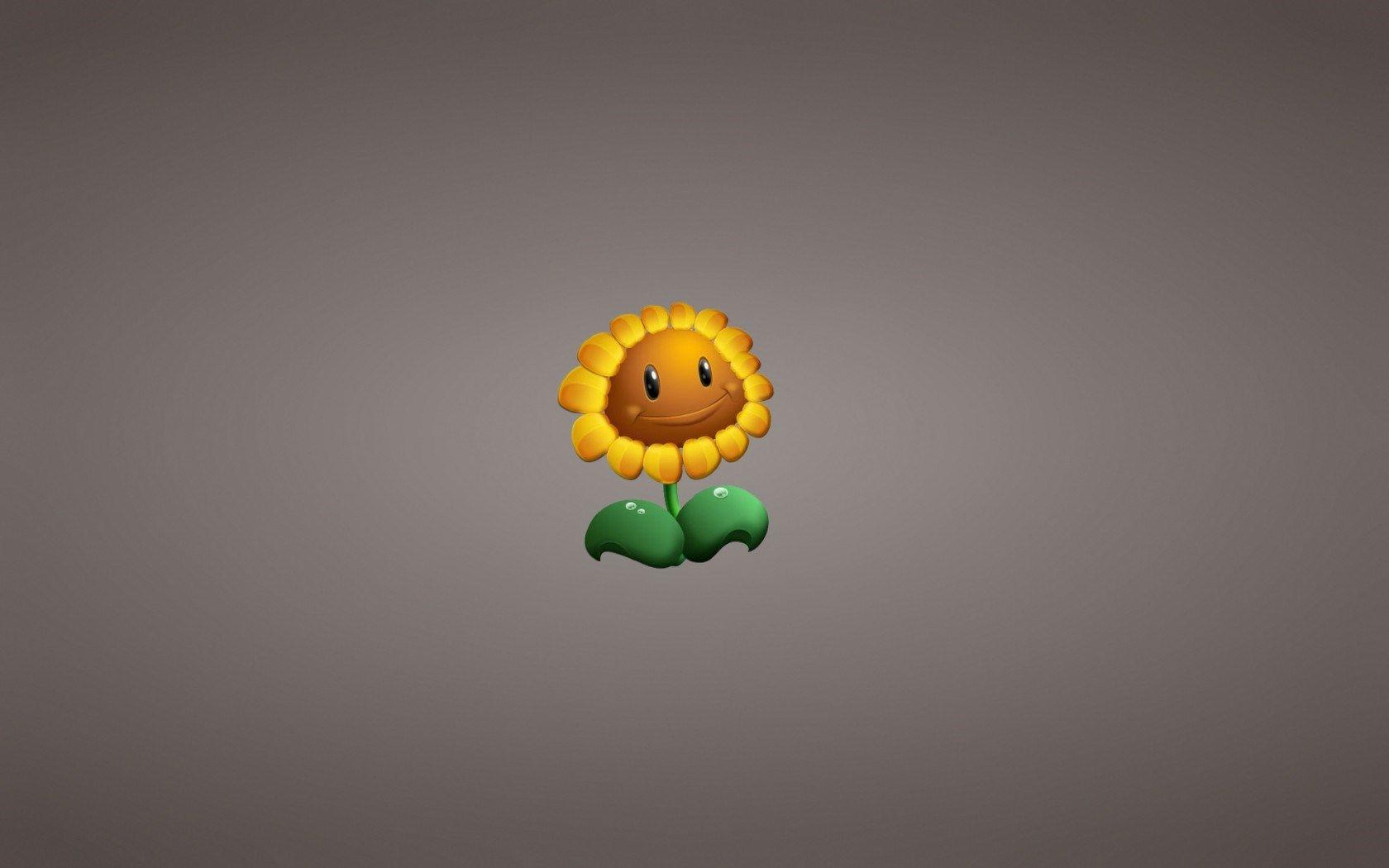 Plants vs Zombies Garden Warfare Sunflower Game Art HD Wallpaper