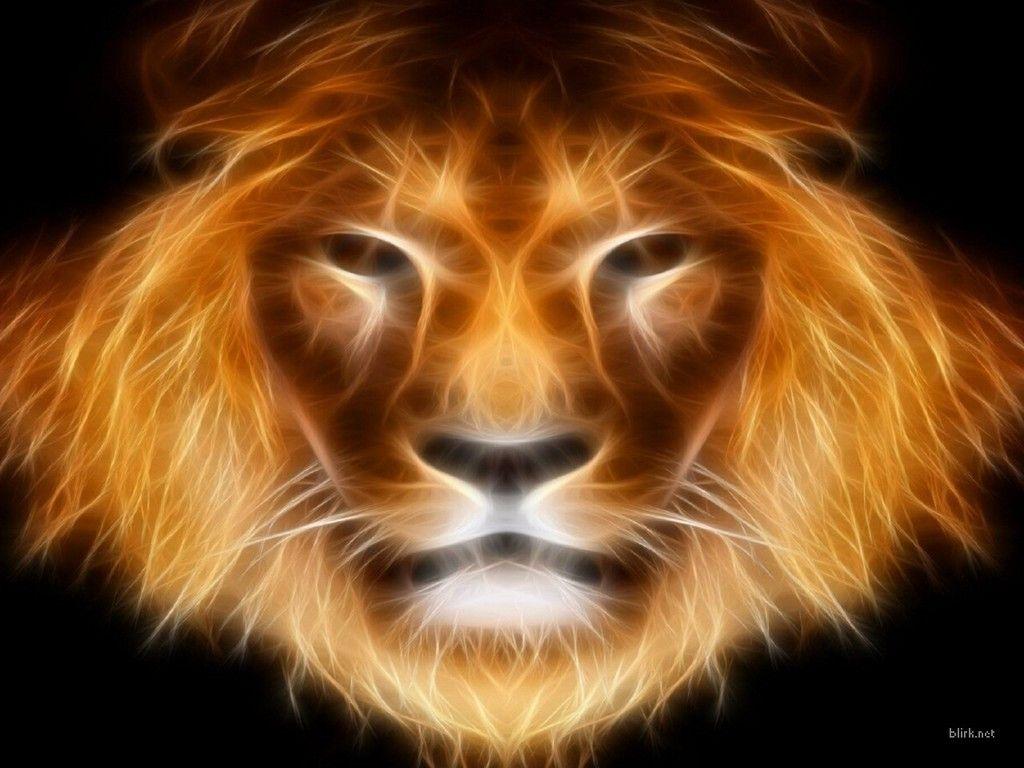 image For > Lion Face Wallpaper