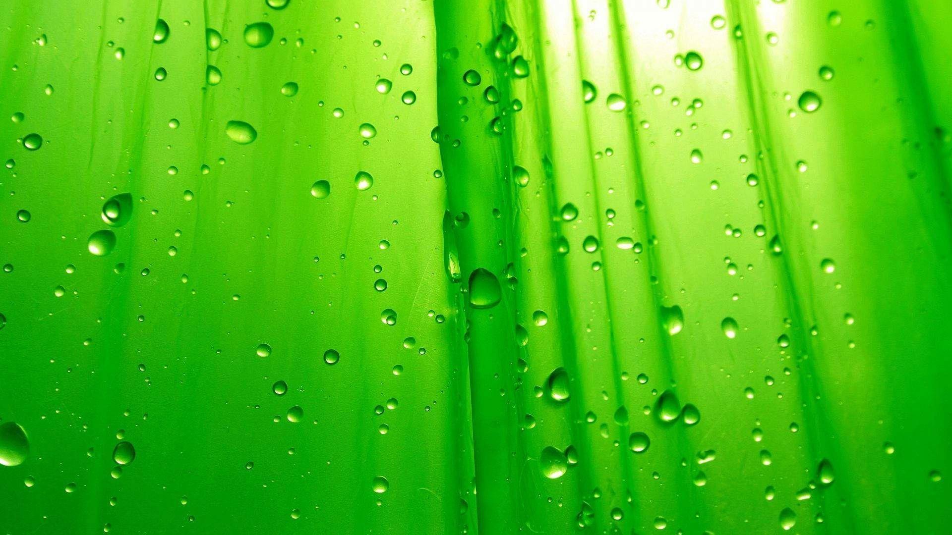 Cool Green Background Colour Wallpaper