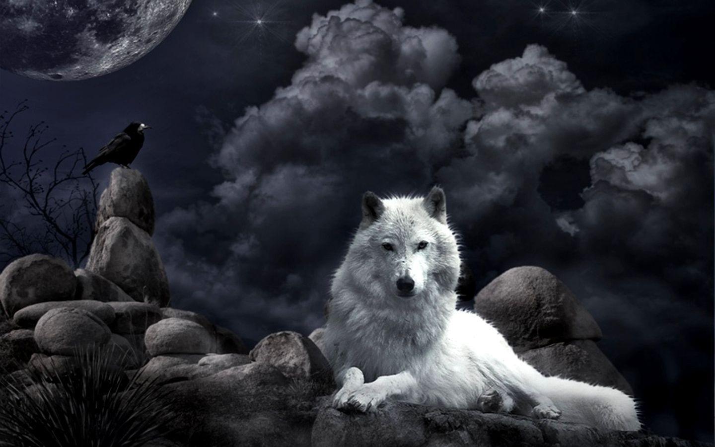Wolf Fantasy HD Wallpaper Widescreen Download