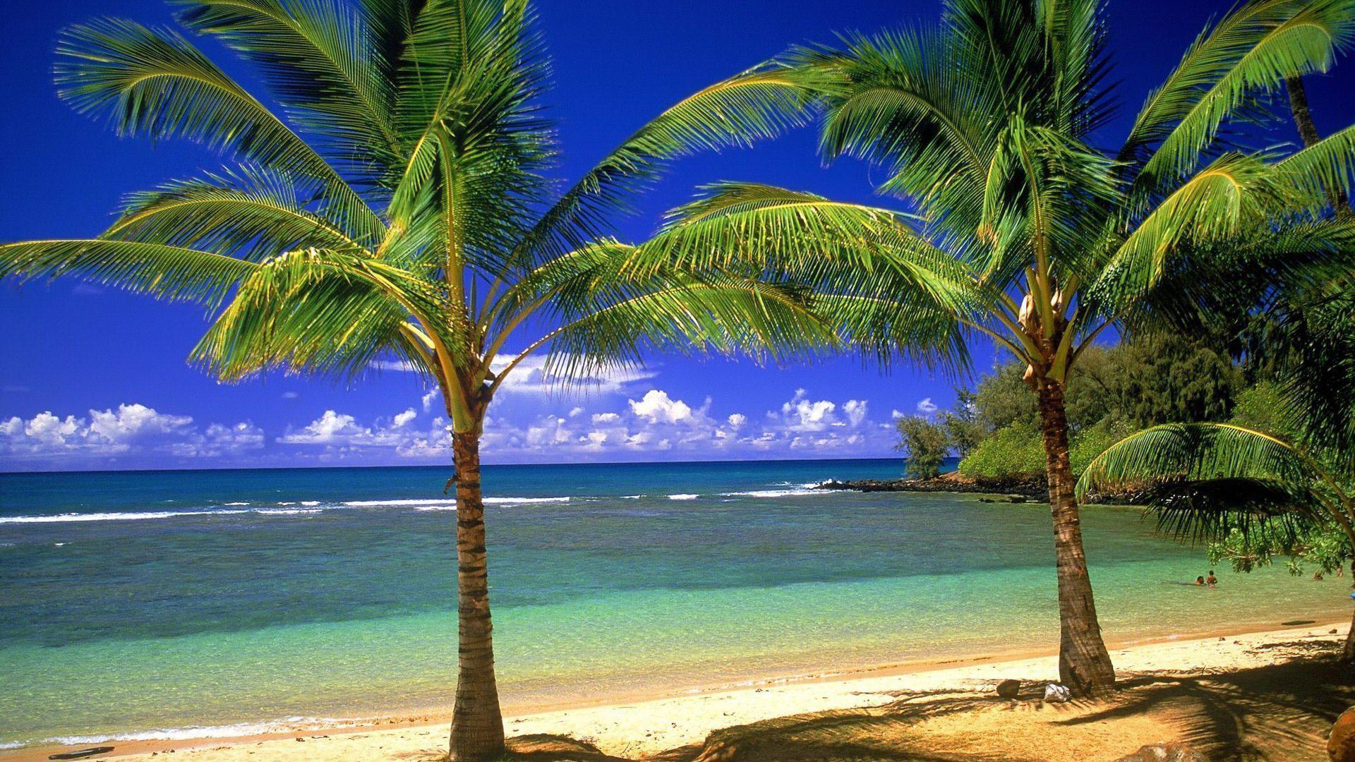 Summer Beach View Background 1 HD Wallpaper. Hdimges