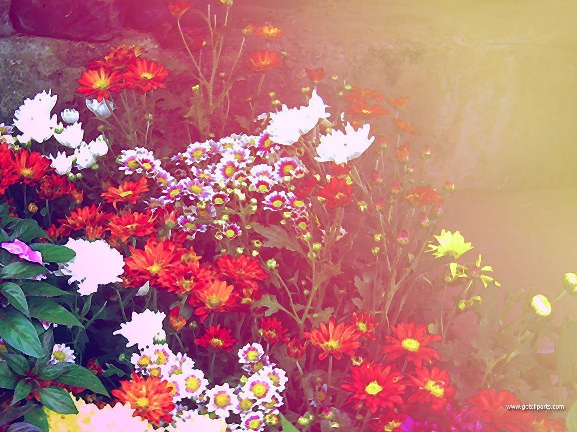 Wallpaper For > Pretty Background With Flowers
