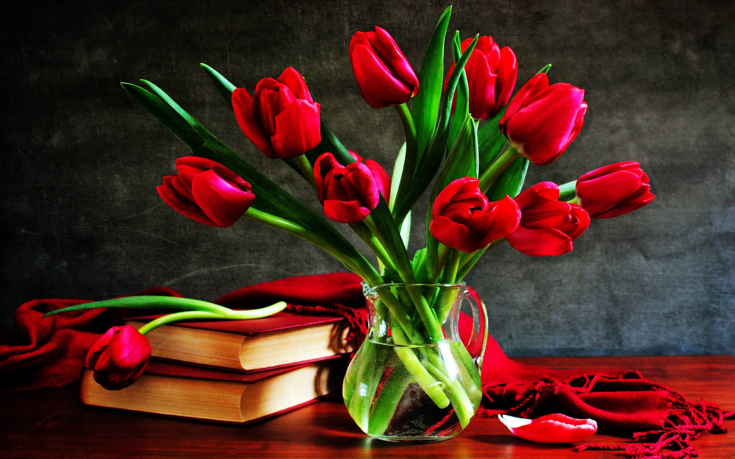Red Tulips In A Glass Vase HD wallpaper « HD Wallpaper