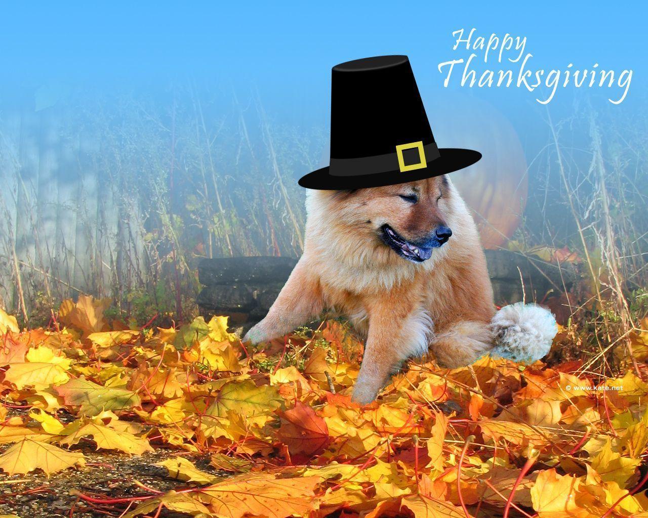 Free Thanksgiving Desktop Wallpaper Wallpaper Idol