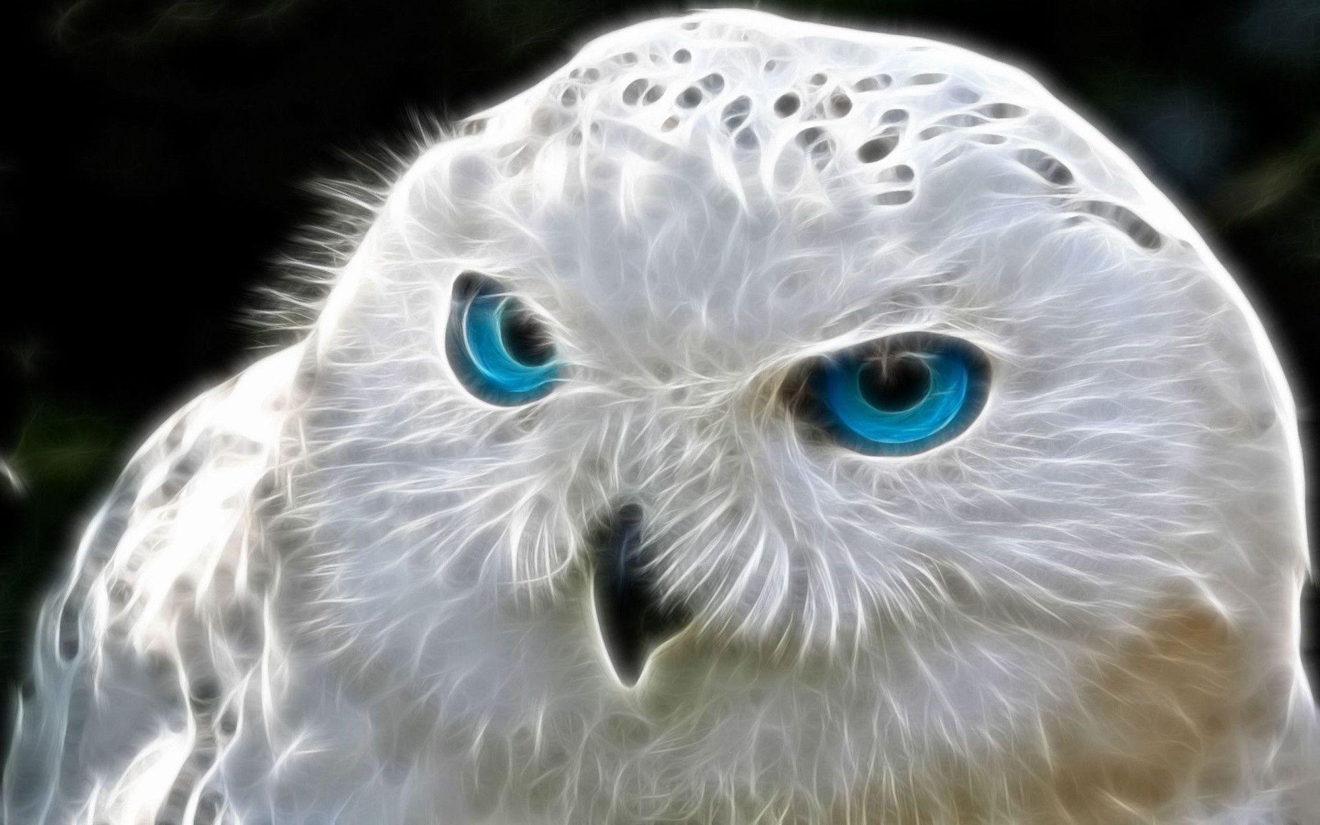 White Owl With Blue Eyes Spiritual Meaning