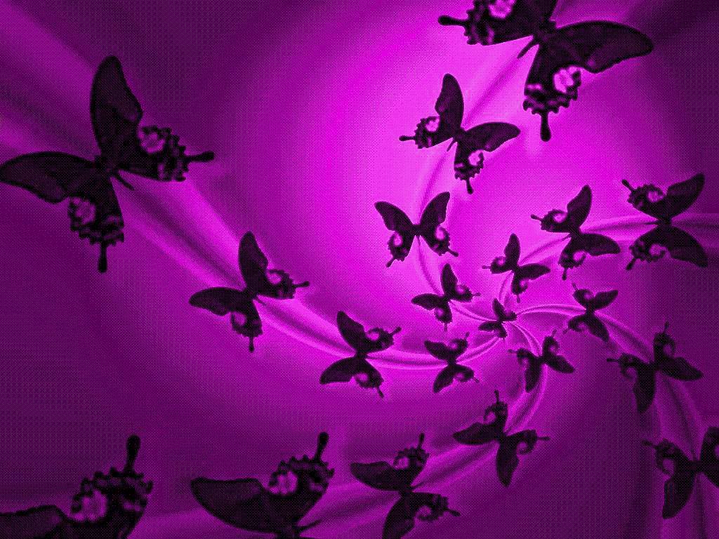 Animals For > Purple Butterfly Desktop Wallpaper