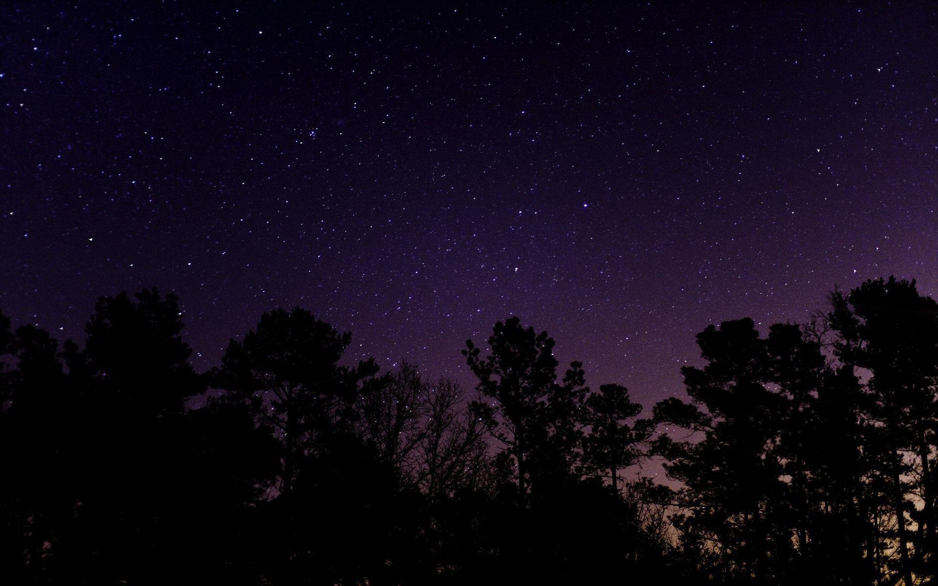 Tree under starry sky wallpaper