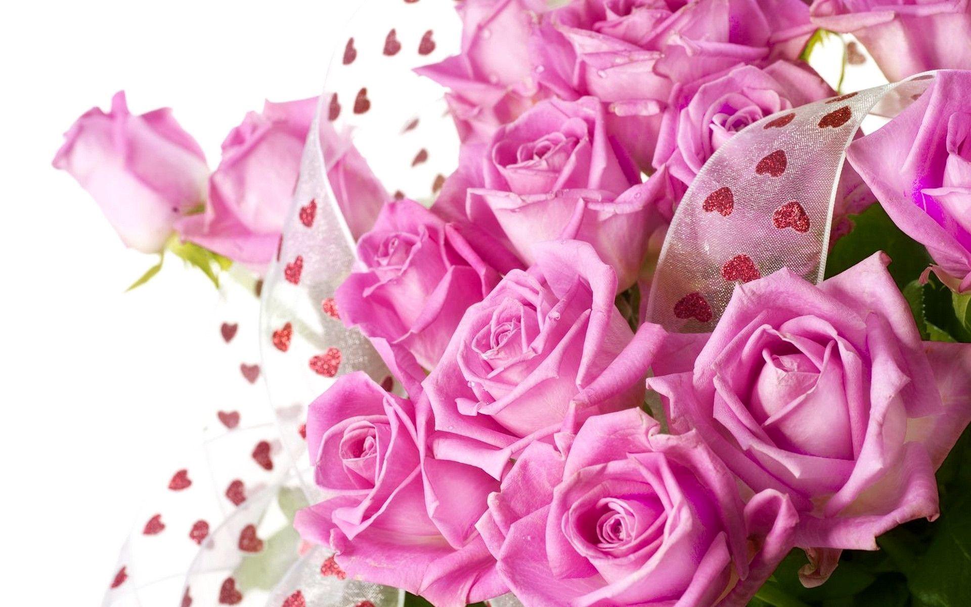 Flowers For > Pink Rose Flower Background Wallpaper