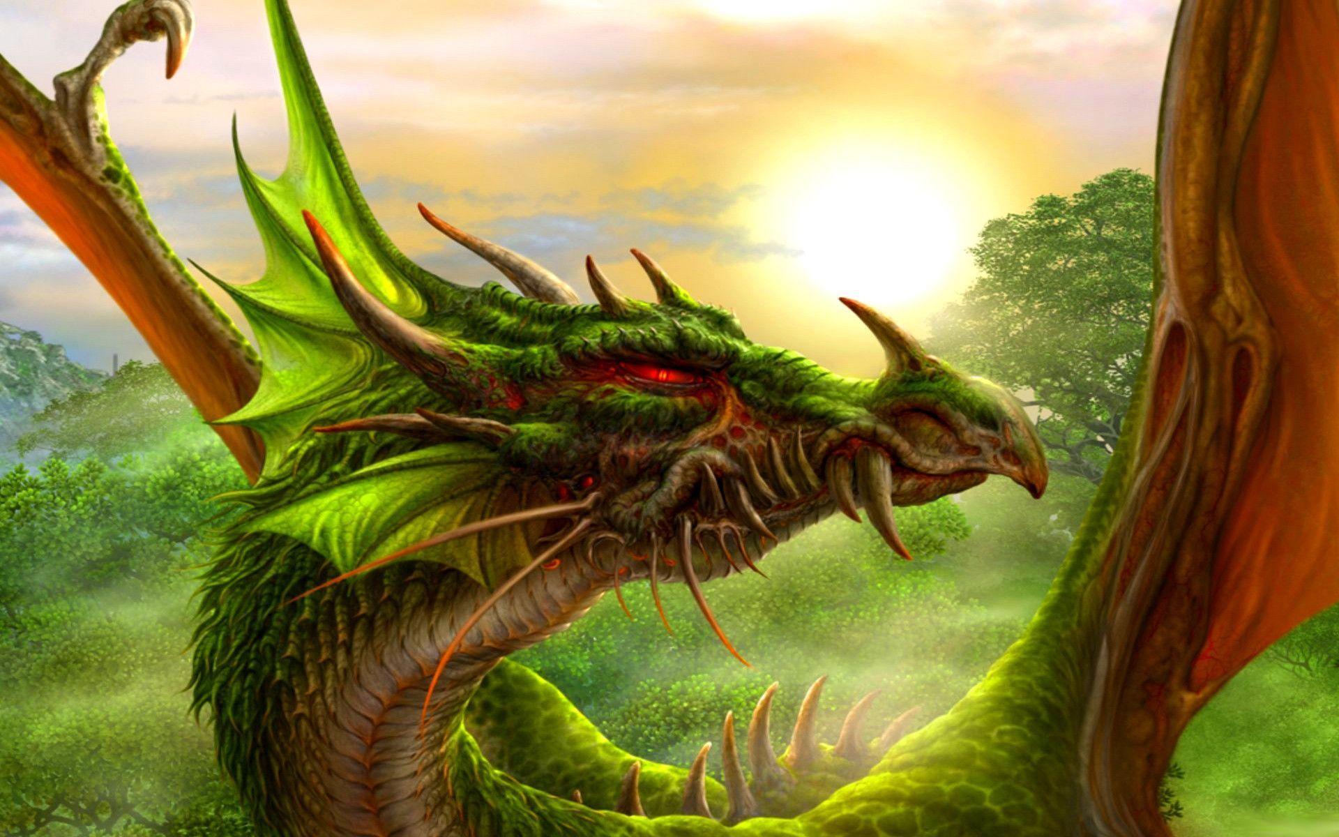 Wallpaper For > Green Dragon Desktop Background