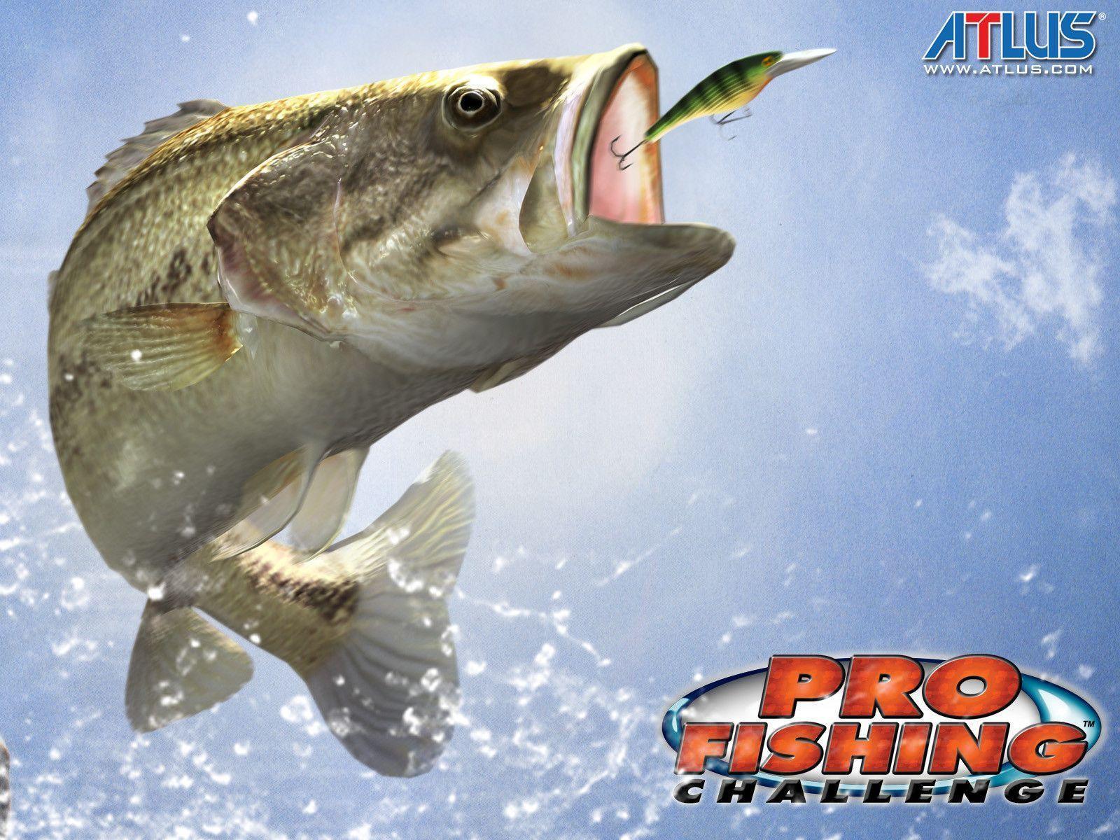 Wallpaper For > Bass Fishing Background