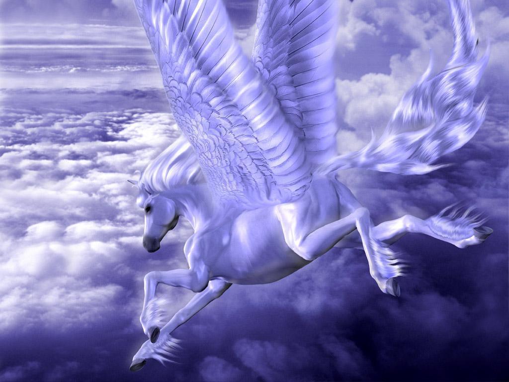 Pegasus & Unicorn Animals Wallpaper