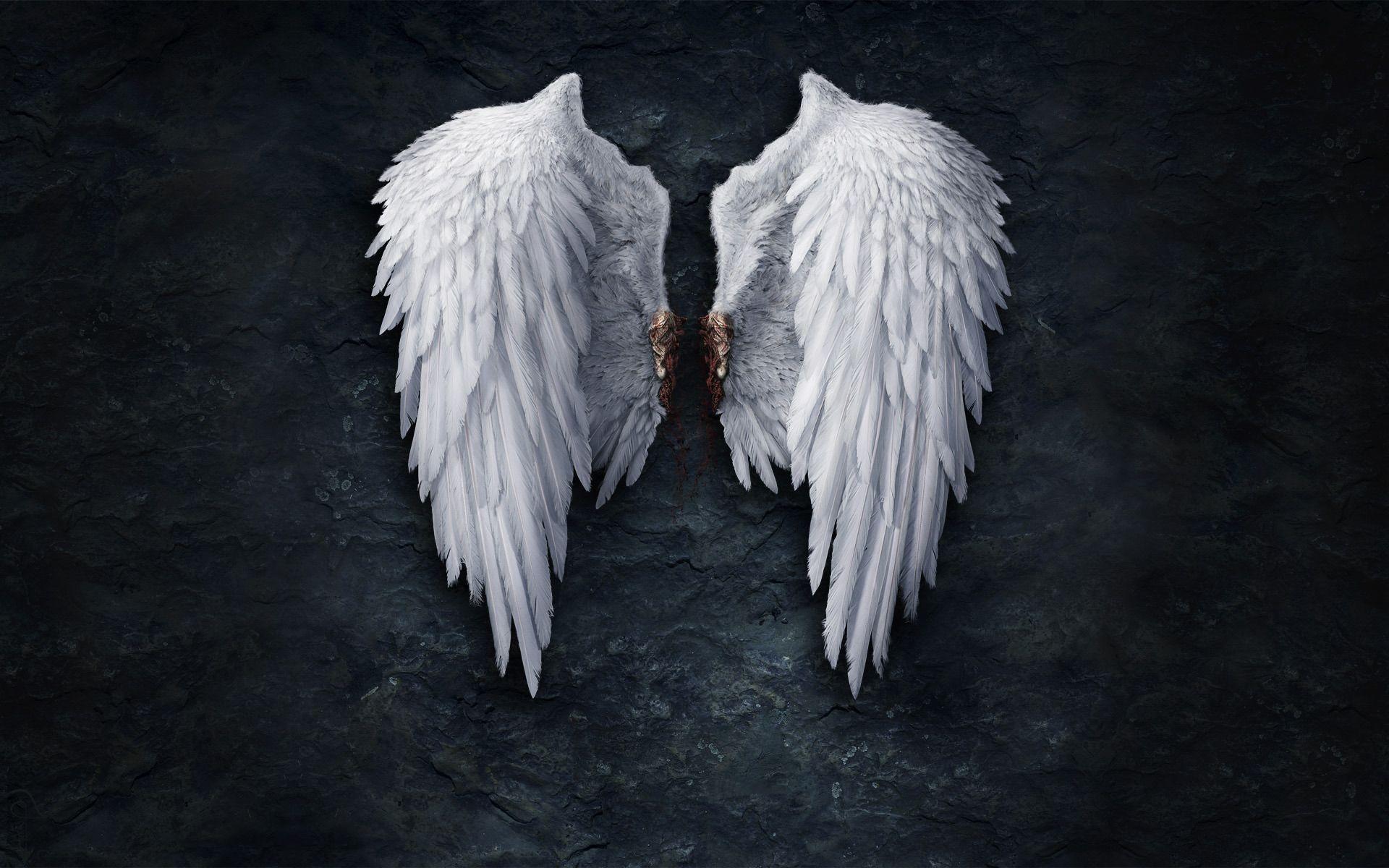 Broken angel wings Wallpaper #