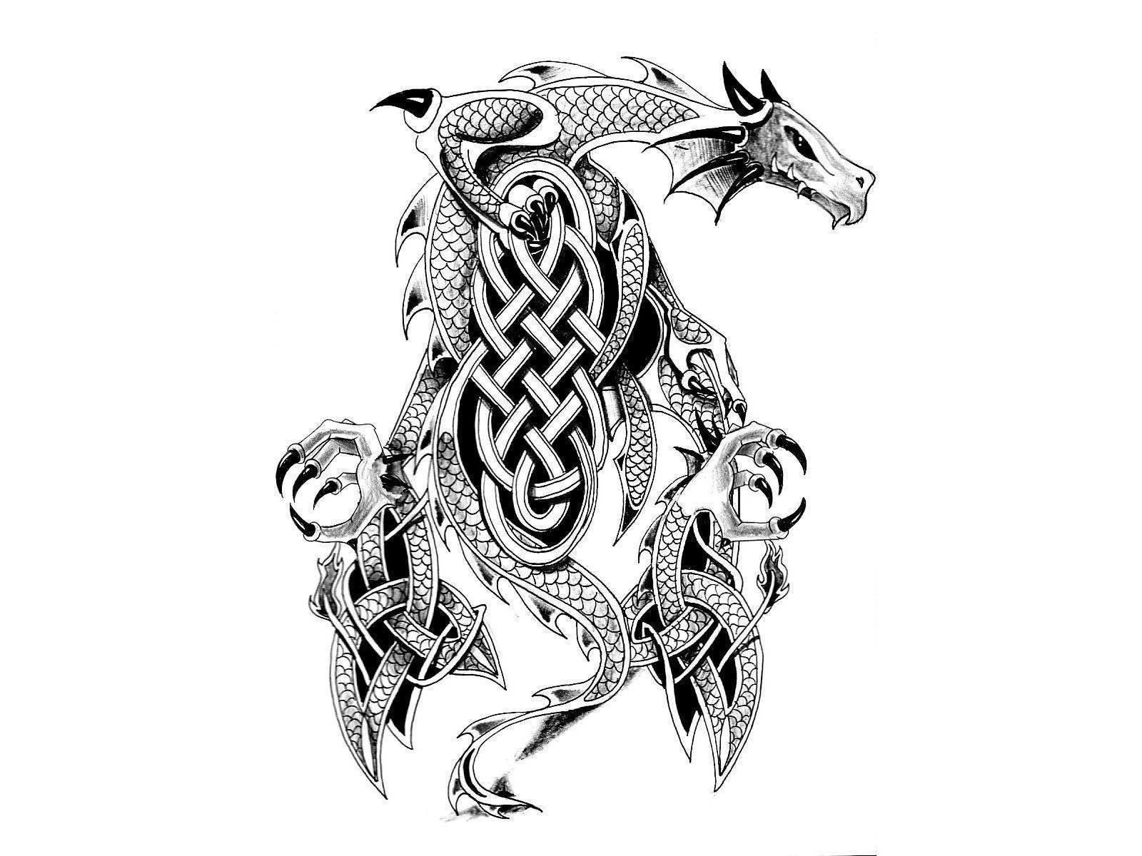Free designs warrior dragon tattoo wallpaper