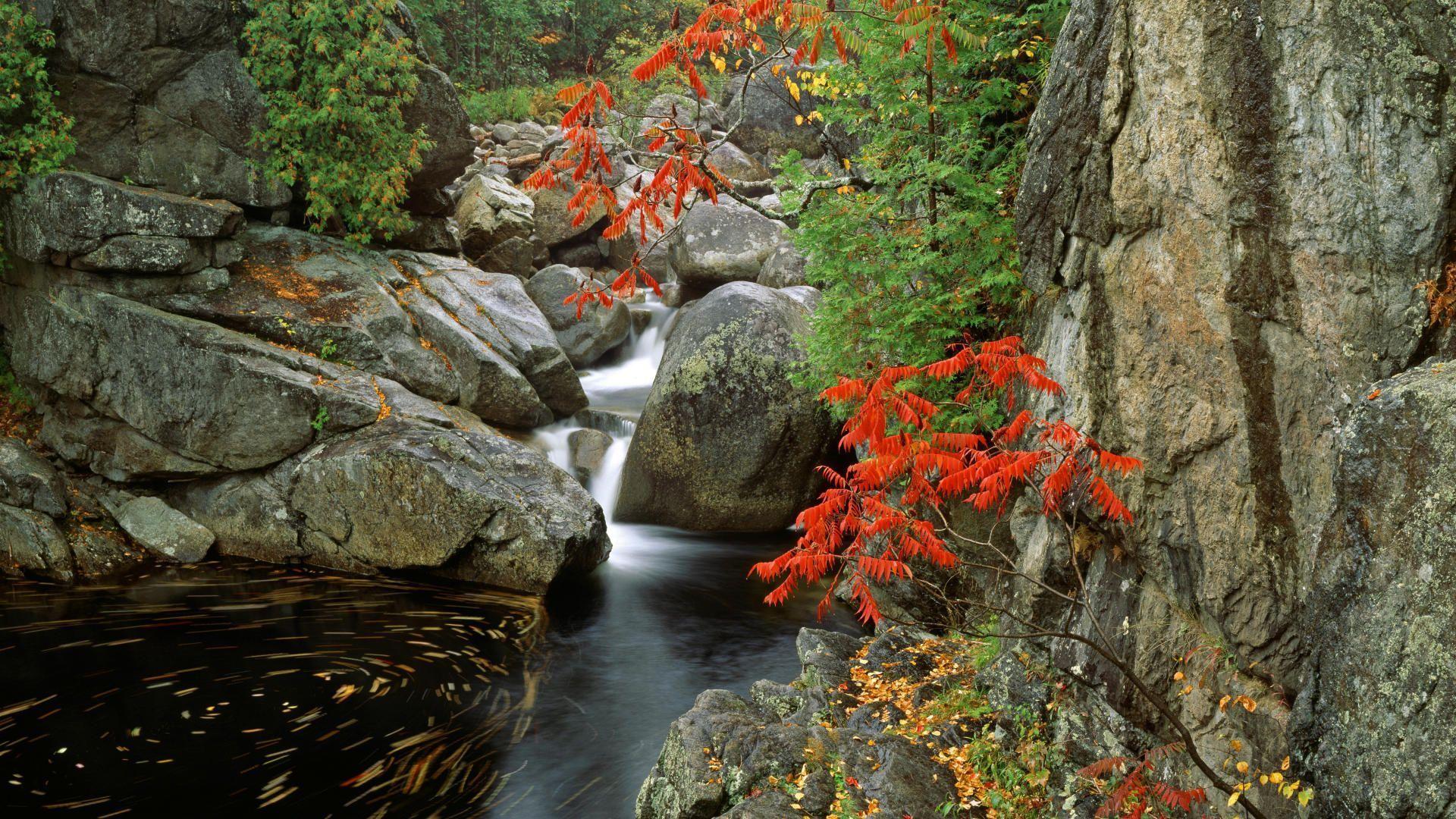 Bonquet River Adirondack State Park New HD wallpaper #